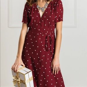NWT polka dot Dress